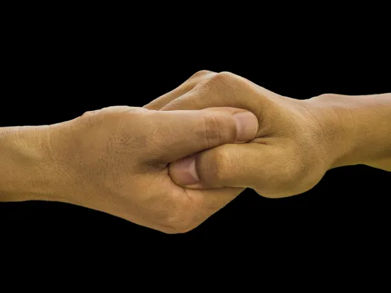 BlueFox Casino Ondersteuning